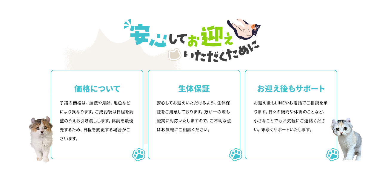 content01